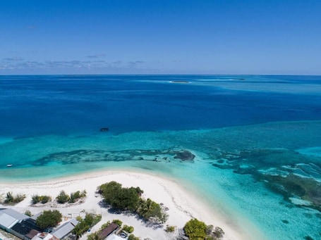 On the beach, white sand. One The Island