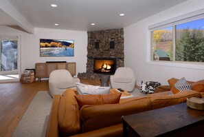 TV, fireplace, offices - Hidden Gem, Hot tub, Garage, Amazing Views! (Mt. Crested Butte)