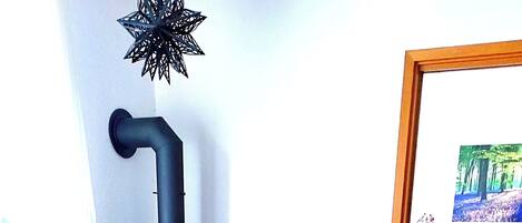 Televisio, takka, DVD-soitin, kirjoja