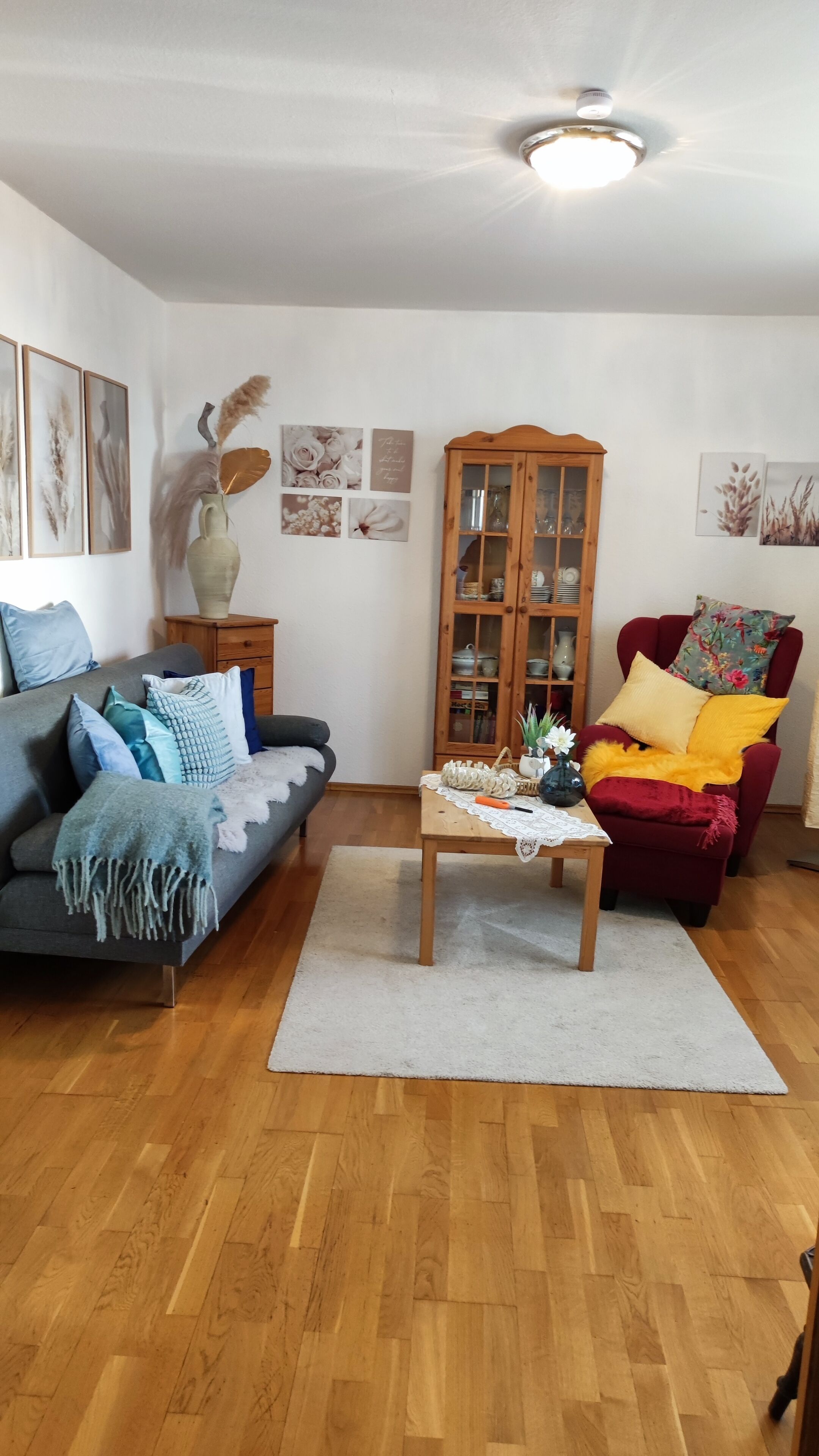 Télévision, cheminée, lecteur de DVD, livres