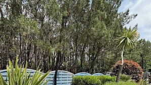 Un jardín con un deck de madera, un pequeño estanque y diversas plantas, incluyendo una palmera y un arbusto con flores rojas.