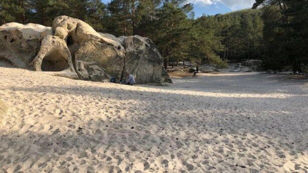 Ein sandiger Strand mit großen Felsen und einem dichten Kiefernwald im Hintergrund.