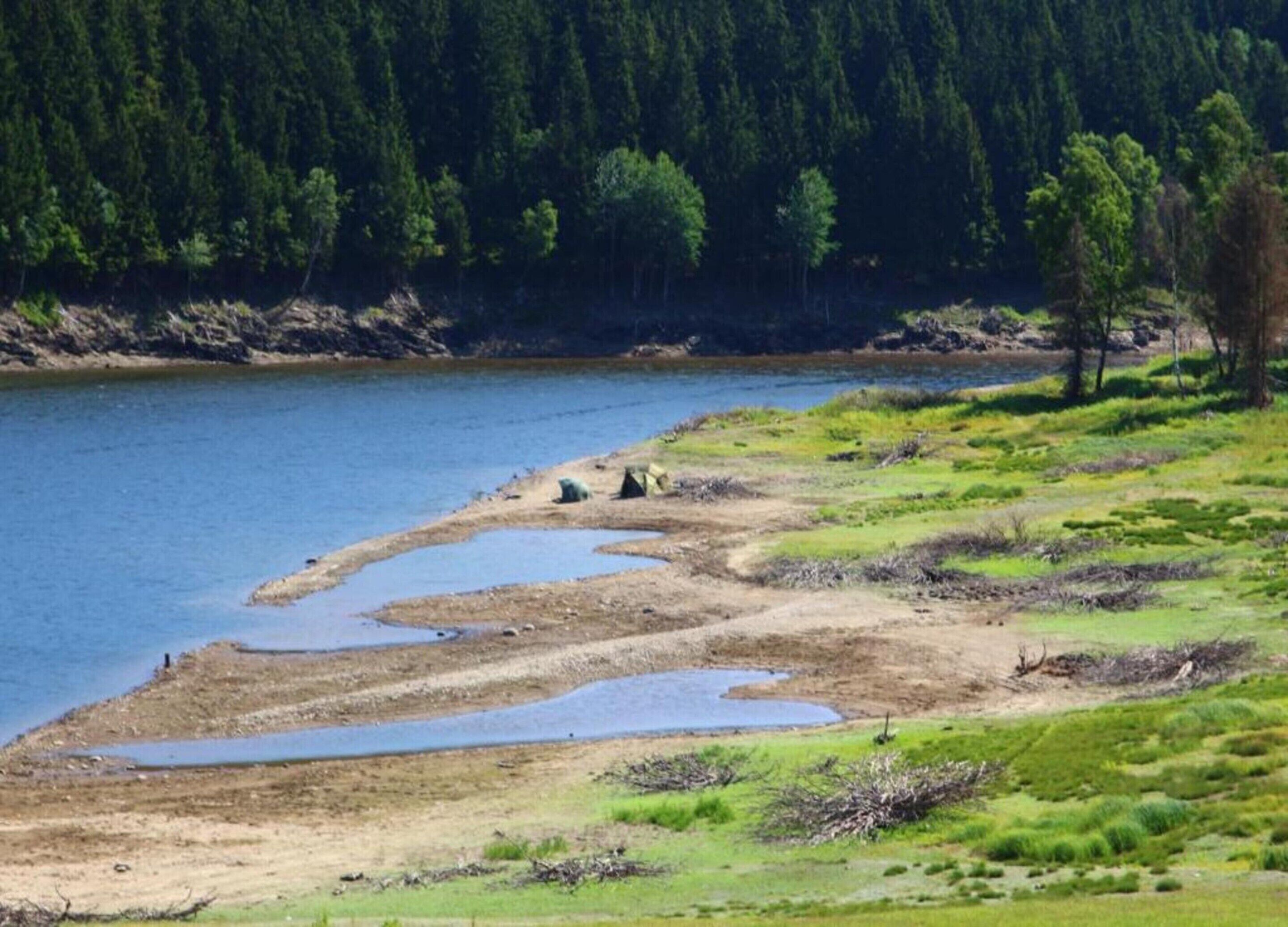 Paisaje natural con un río, zonas de césped y un bosque al fondo.