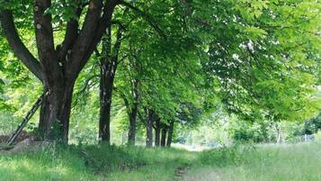 Apartemen | Pemandangan dari properti