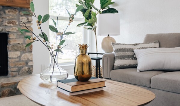 Smart TV, fireplace, books