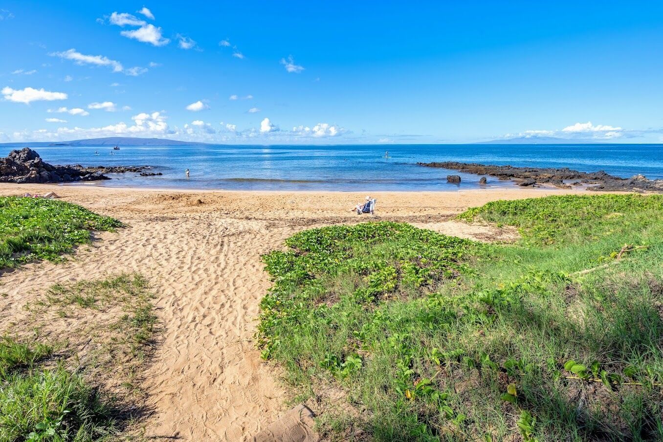 A sandy beach with green vegetation in the foreground and a clear blue sky.