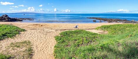 A sandy beach with green vegetation in the foreground and a clear blue sky.