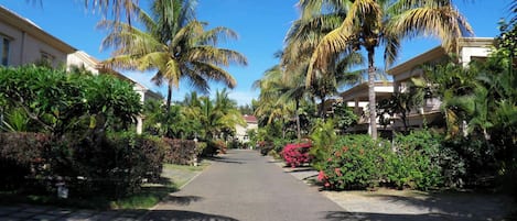 A paved pathway flanked by lush greenery and palm trees, leading to a building with balconies.
