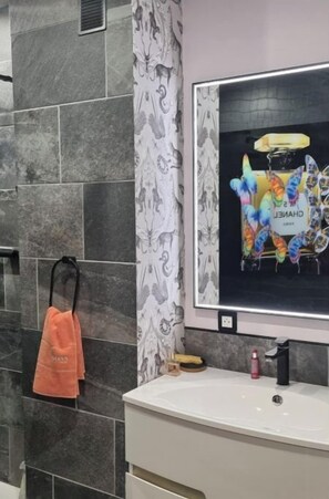 Douche, sèche-cheveux, serviettes fournies, papier toilette