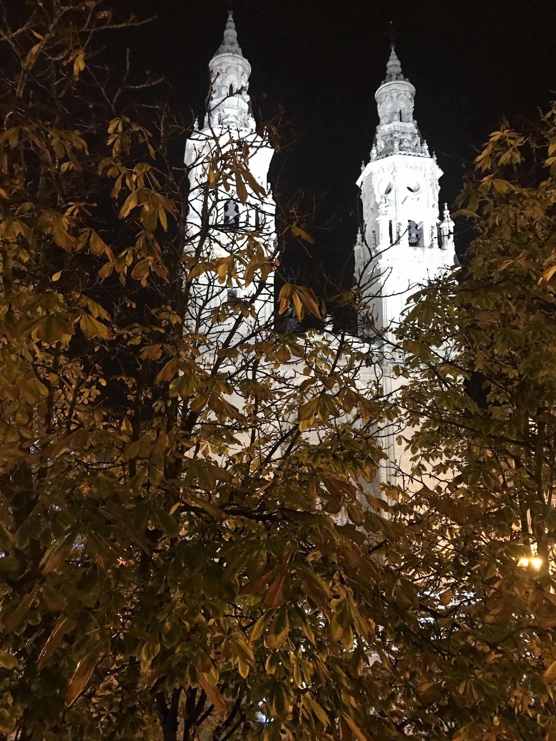 Vista nocturna de un edificio blanco con dos torres destacadas, parcialmente oculto por hojas otoñales.