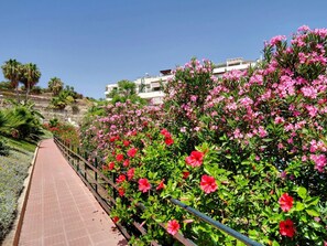 A pathway lined with pink flowers and red hibiscus plants, leading to a hillside with buildings in the background. - Quiet apartment between golf and sea with pool (Rincón de la Victoria)