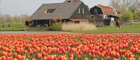 Apartment | Exterior