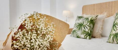 1 camera, Wi-Fi gratuito