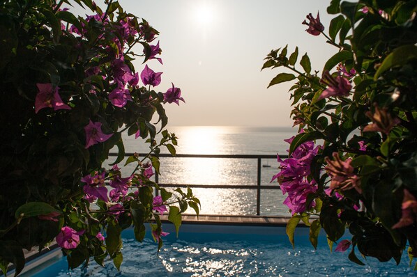 Outdoor pool - VILLA MARGI (Campania)