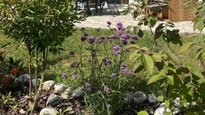 A house with a thatched roof, a sliding glass door, and a garden with purple flowers and rocks.
