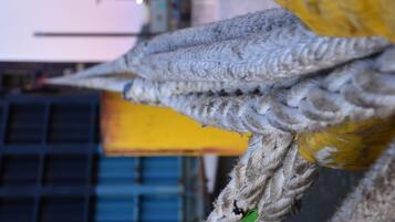 1 Schlafzimmer, Schreibtisch, kostenloses WLAN, Bettwäsche