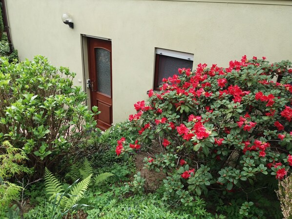 Exterior detail - Vacation apartment Schmitt, Abtsteinach, Odenwald, approx. 25 km to Heidelberg (Abtsteinach)