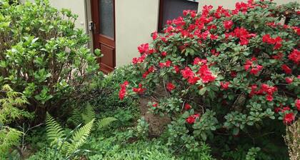 Ferienwohnung Schmitt, Abtsteinach, Odenwald, ca.25 km bis Heidelberg