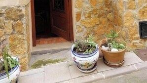 A building entrance with a stone and plaster facade, a wooden door, and two potted plants. - Beautiful town house in San Jordi, Castellón (Sant Jordi)