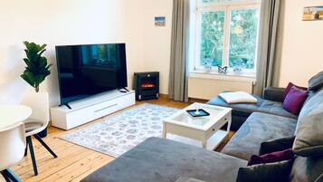 TV, fireplace, books