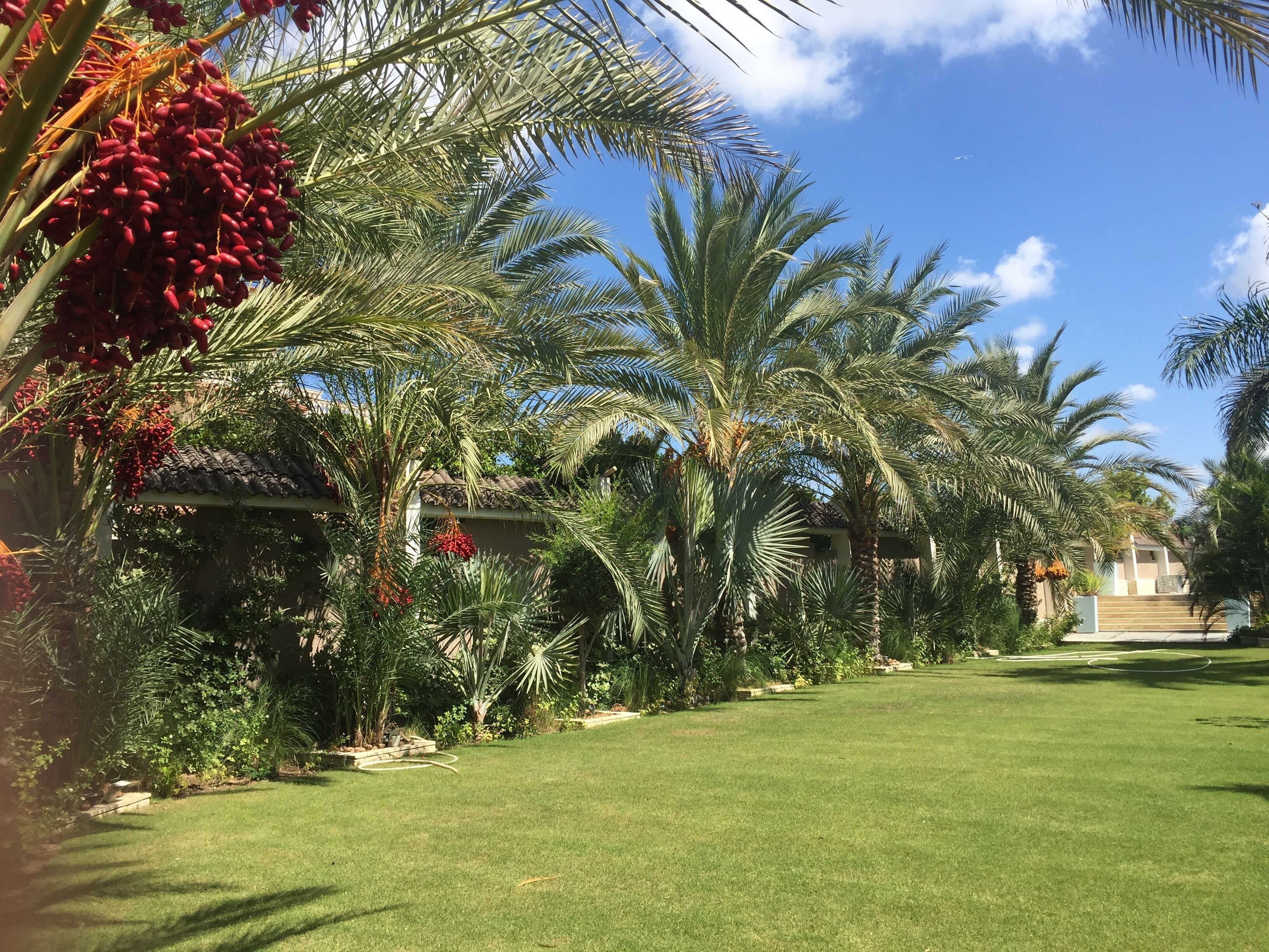Jardines del alojamiento