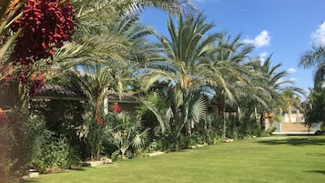 Jardines del alojamiento