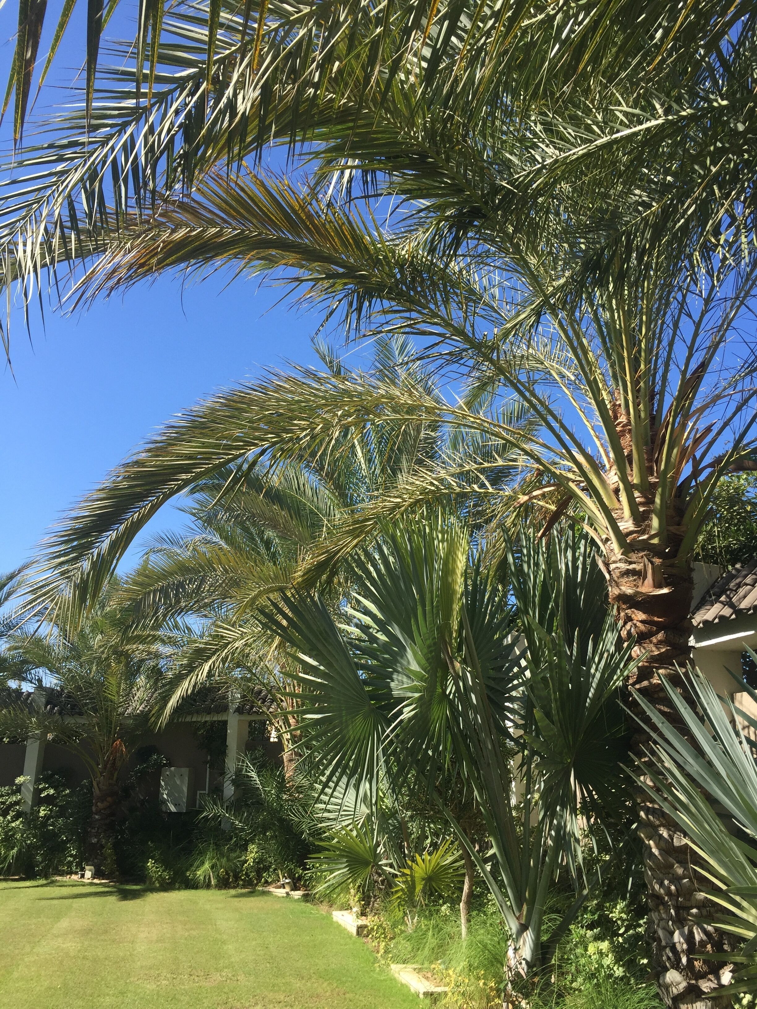 Jardines del alojamiento