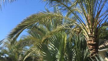 Jardines del alojamiento