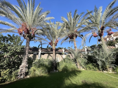 Property grounds. Vacation/Business private condo rental in King Maryout Egypt with pool & jacuzzi