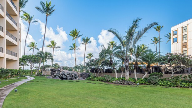 A well-maintained lawn with palm trees and a stone wall, surrounded by buildings.