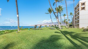 A resort with a grassy lawn, palm trees, lounge chairs, and a view of the ocean.
