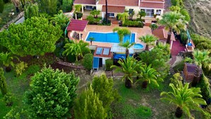 Ein großes Haus mit Swimmingpool, umgeben von üppiger Vegetation und Palmen.