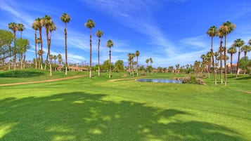 Condo, Multiple Beds (VV287 - Palm Valley CC) | Property grounds