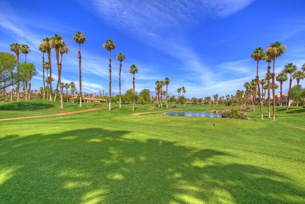 Condo, varias camas (VV287 - Palm Valley CC) | Áreas de la propiedad