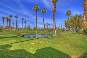 Condo, varias camas (VV287 - Palm Valley CC) | Áreas de la propiedad