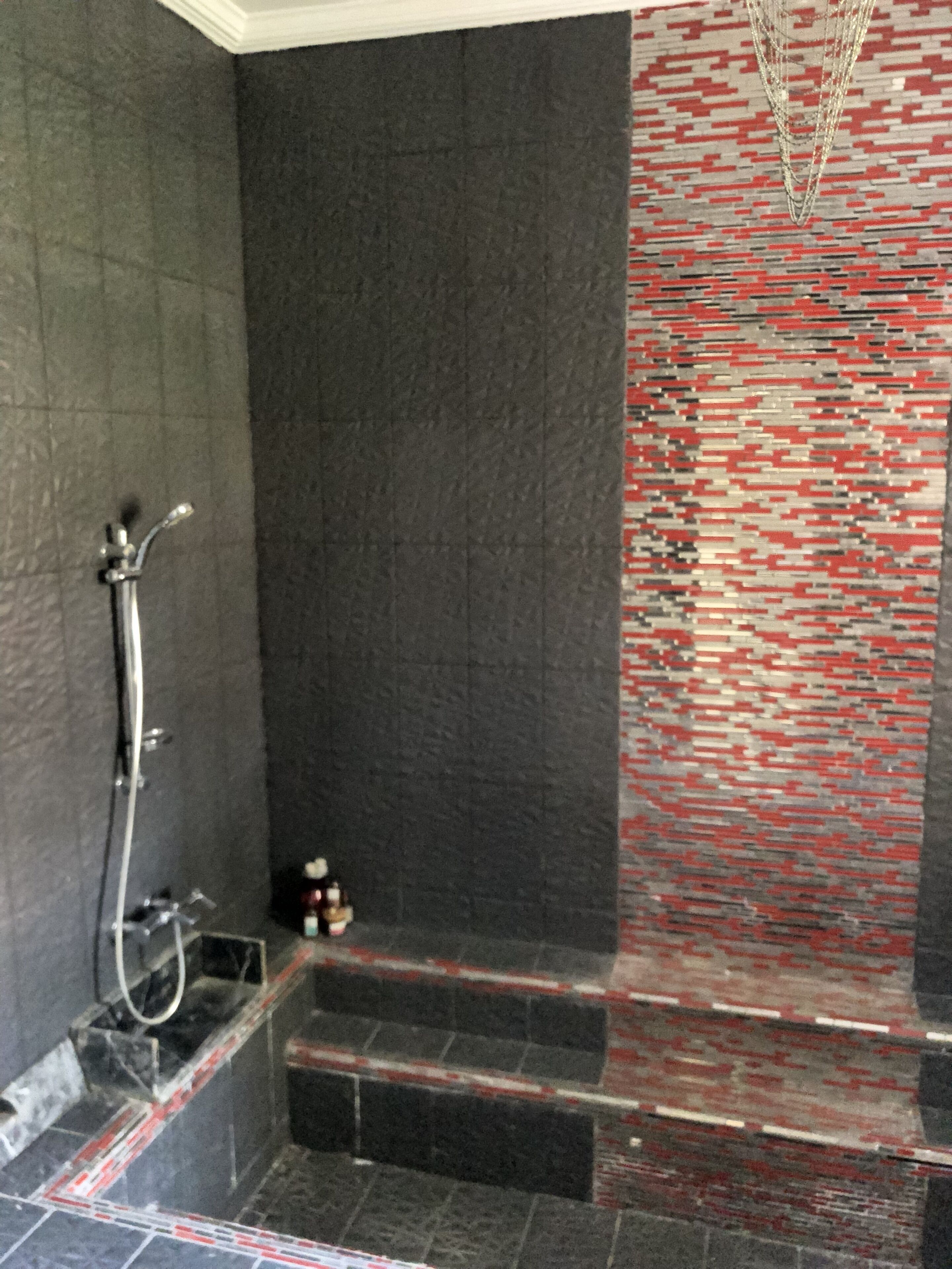 A shower area with a dark tiled wall, a red and black patterned wall, and a metal showerhead.