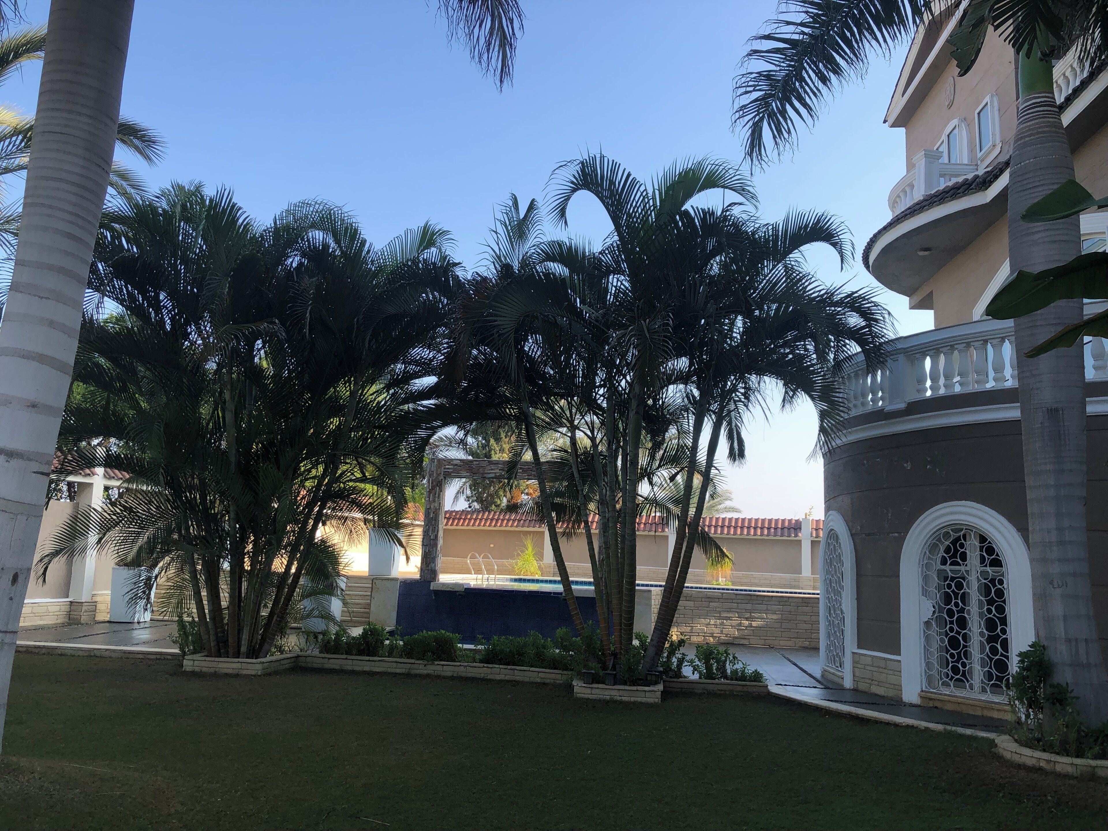 A courtyard with palm trees, a swimming pool, and a building with a balcony.