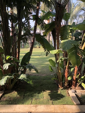 A well-maintained garden with a variety of tropical plants and a neatly trimmed lawn.