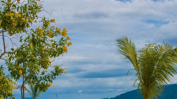 A paved pathway leading to a pool area with a view of the ocean and a distant island. - Jesselton Point Homestay  (Kota Kinabalu)