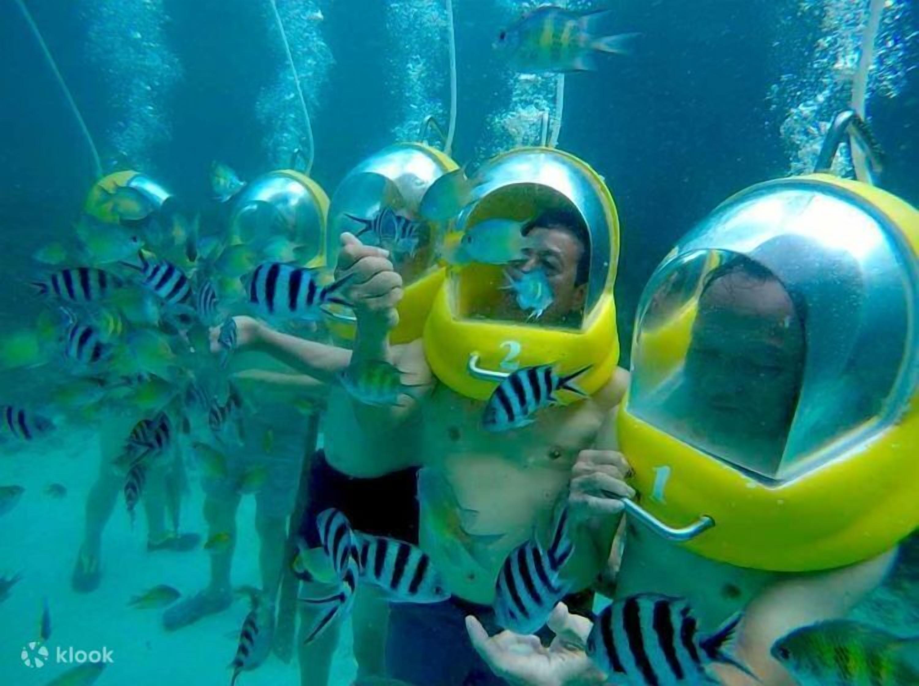 A group of people underwater wearing yellow helmets, surrounded by fish.