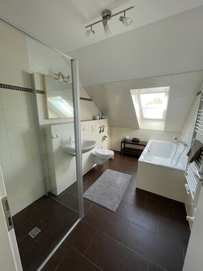 Shower, hair dryer, soap, toilet paper - Vacation apartment Bernstein (Wiek)