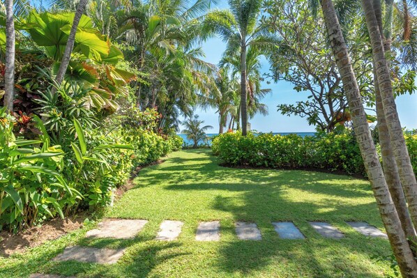 Un sentier bordé de végétation luxuriante et de palmiers, qui traverse un jardin tropical et mène à une plage.