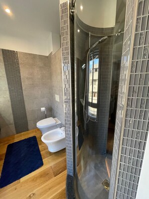 Regadera, secadora de cabello, bidet, toallas 