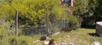 TEMPORARY RENTAL IN CORDOBA AT A VERY GOOD PRICE!!!