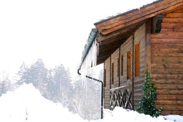 Exterior - Vacation apartment Hofleben Reiner (Neukirchen vorm Wald)