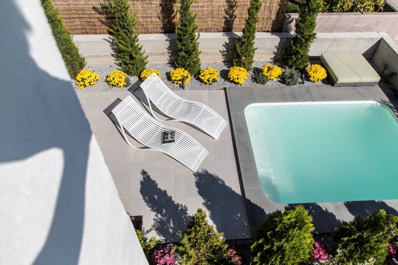 An aerial view of a rooftop pool area with lounge chairs and yellow flowers.