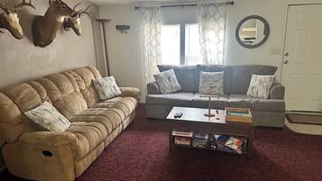 TV, DVD player, video library