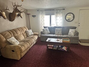 TV, DVD player, video library