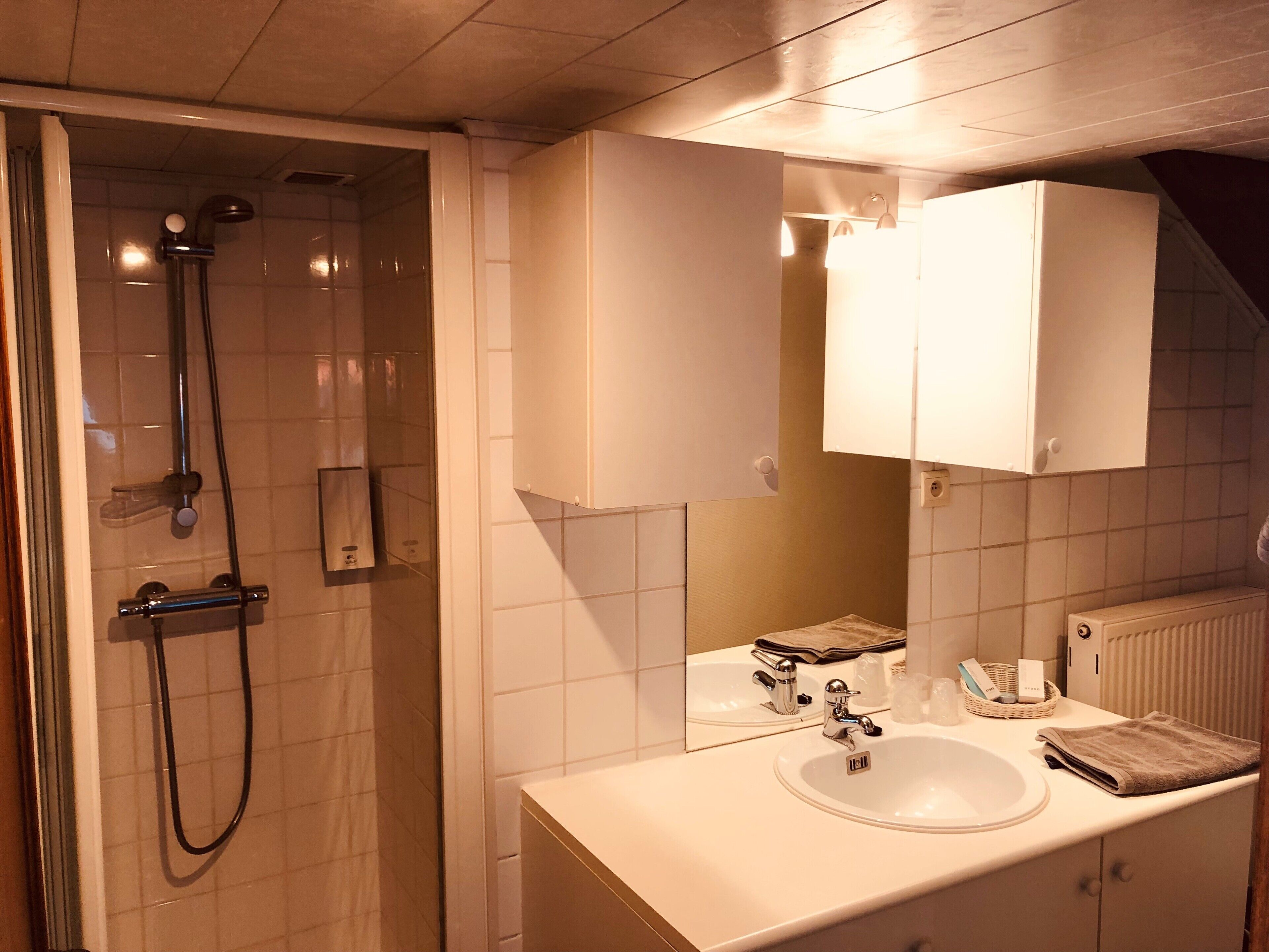 A bathroom with a shower, sink, and cabinets.