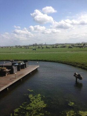 Property grounds - Prive Jacuzzi, Cows, Dairyfarm, Relaxing, Sleeping (Hitzum)
